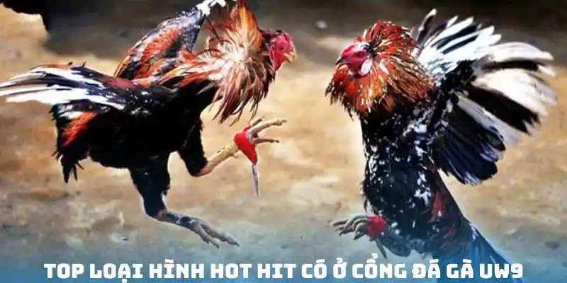 Vài sản phẩm hot hit có ở cổng đá gà UW9